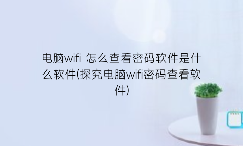 电脑wifi怎么查看密码软件是什么软件(探究电脑wifi密码查看软件)